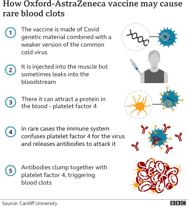How Oxford-AstraZeneca vaccine may cause rare blood clots.